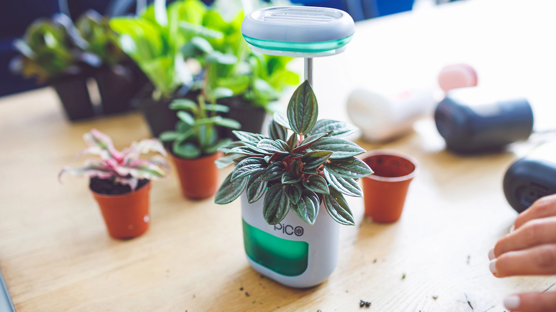 Altifarm PICO Smart Planter: Self-watering & LED Light