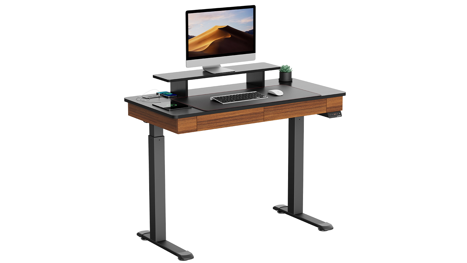 EUREKA ERGONOMIC Standing Desk
