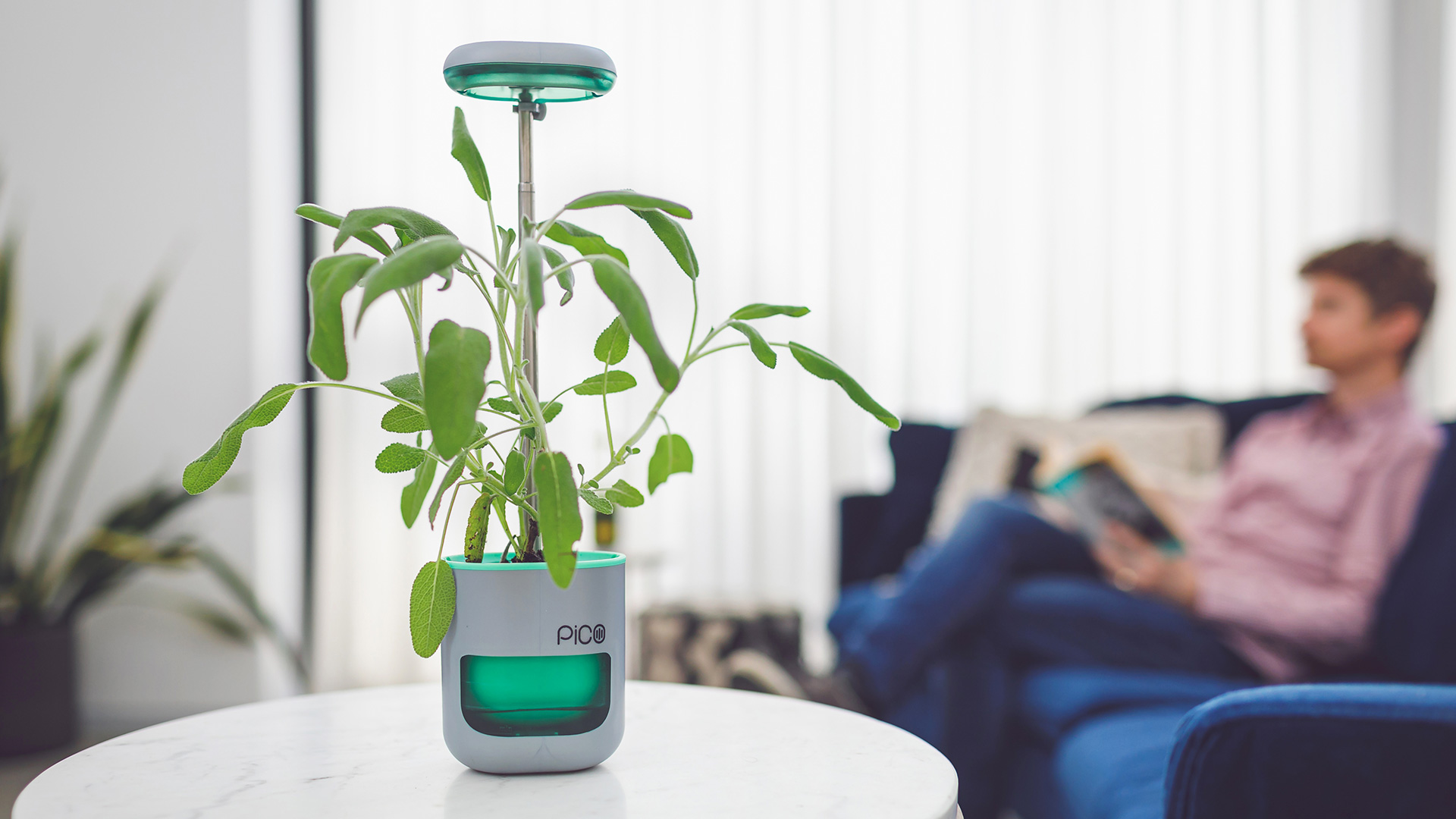Altifarm PICO Smart Planter: Self-watering & LED Light