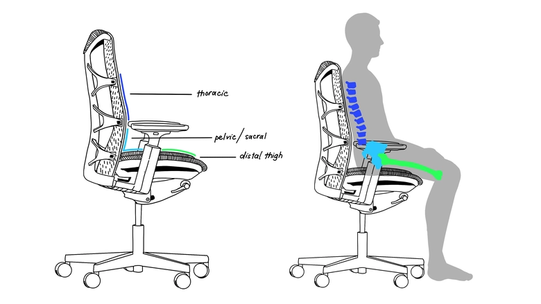 Linked Support Zones in the Ultra Chair