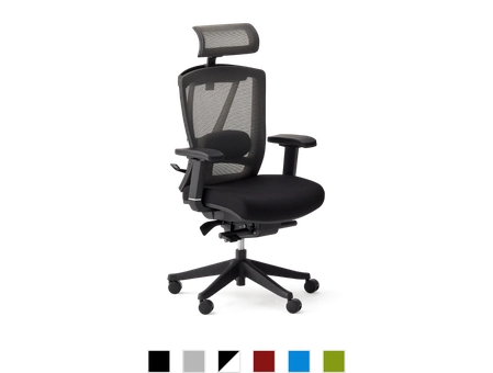 ErgoChair Pro